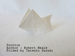 Photo Origami Scottie, Author : Robert Neale, Folded by Tatsuto Suzuki